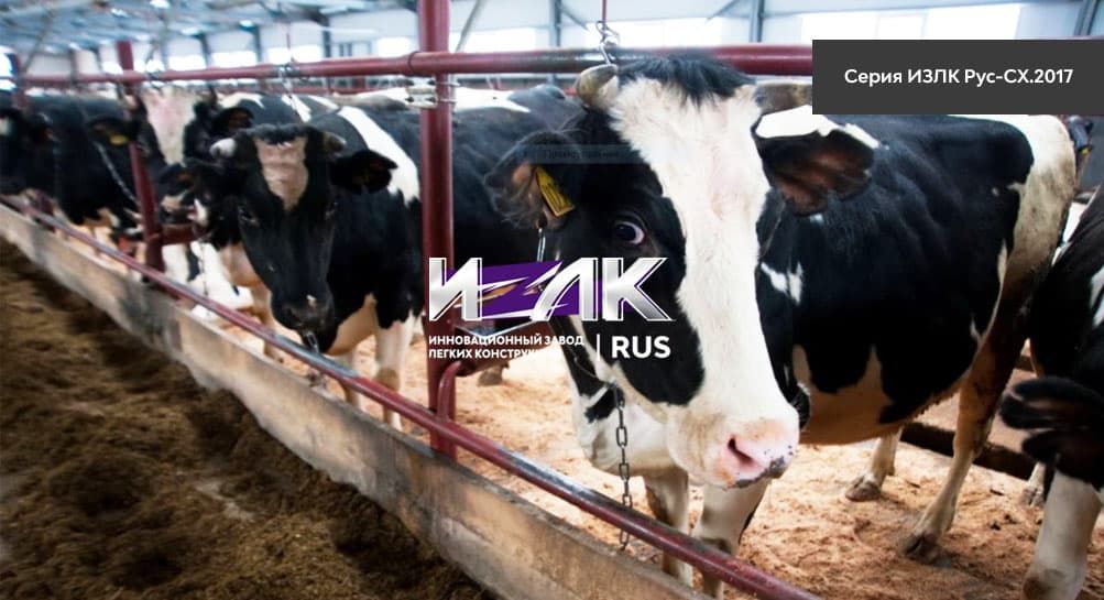 Основные виды коровников, эксплуатируемых животноводами Обнинскa и региона